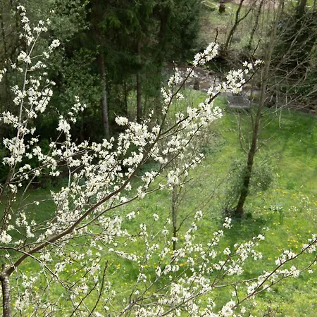 Servus Almtal Дом отдыха Scharnstein