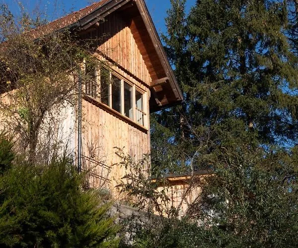 Servus Almtal Σπίτι διακοπών *