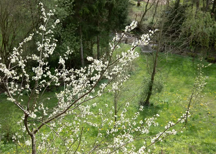 Servus Almtal Hébergement de vacances Scharnstein